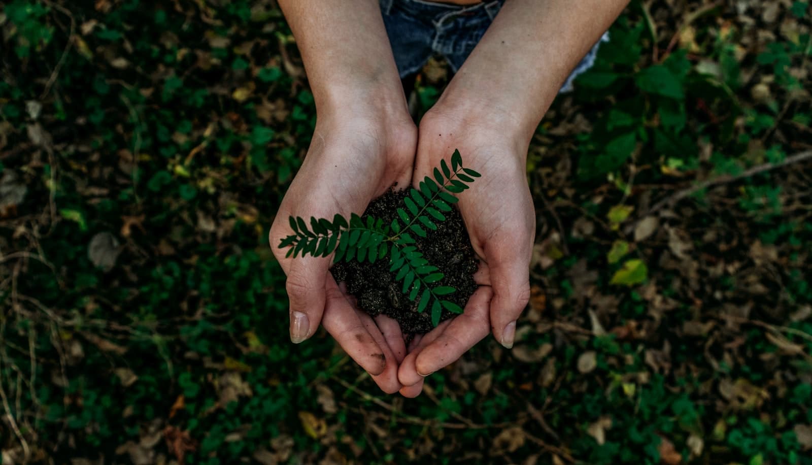 Sustainable raw materials and circular life cycle feedstock